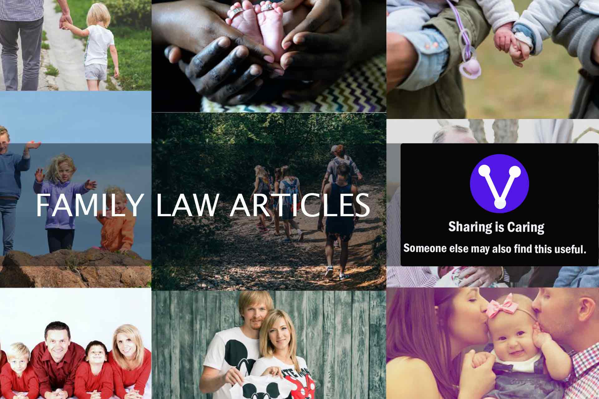 Family Law Articles Maintenance Domestic Violence Divorce Custody