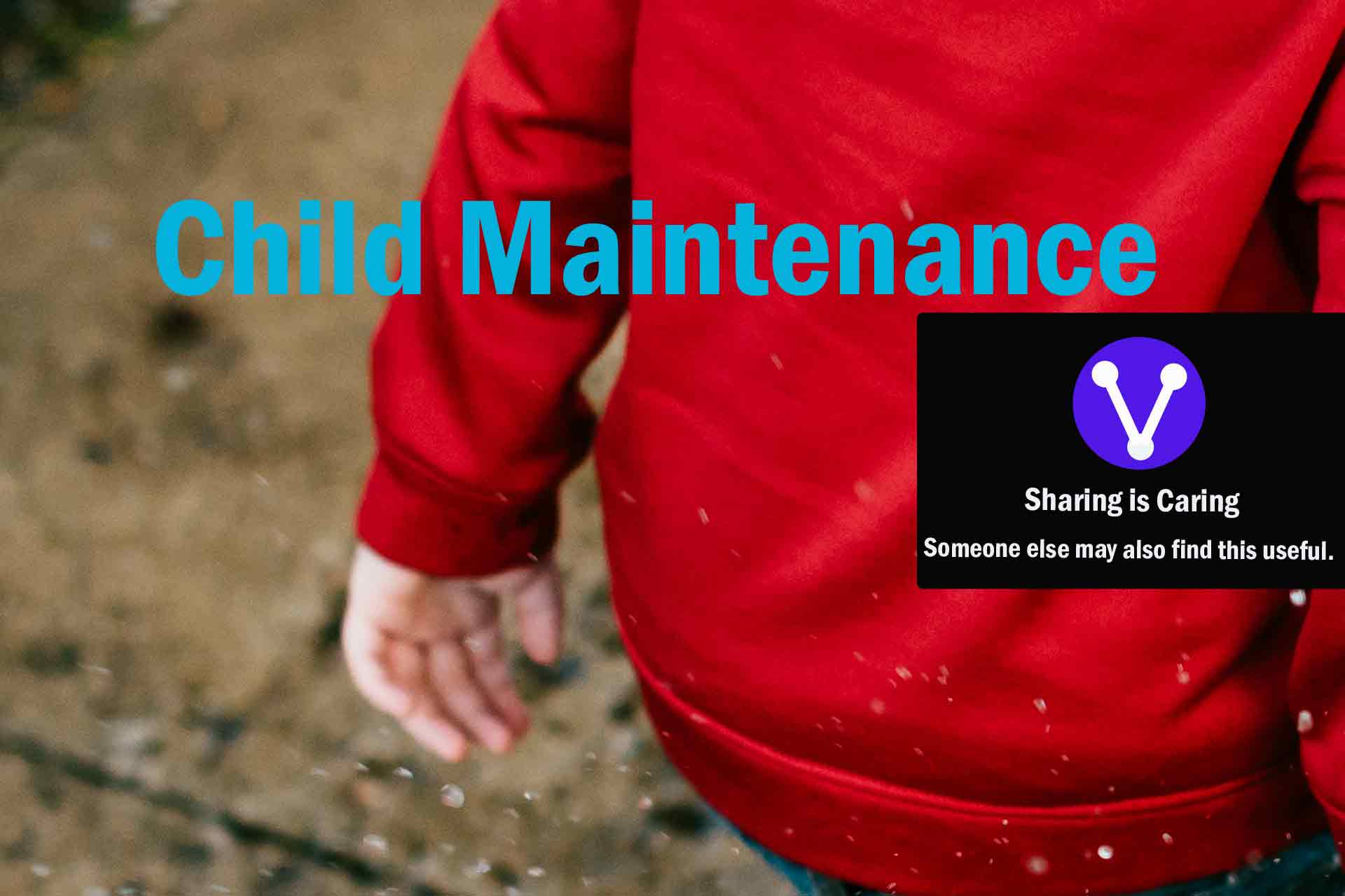 Child Maintenance and Support Services and Assistance
