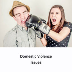 Domestic Violence Applications and Assistance