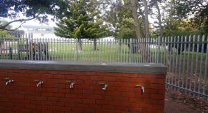 New Water Collection Point Taps - Newlands Cape Town