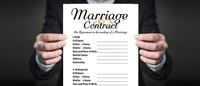 Marriage Contract - Antenuptial - Prenuptial Agreement